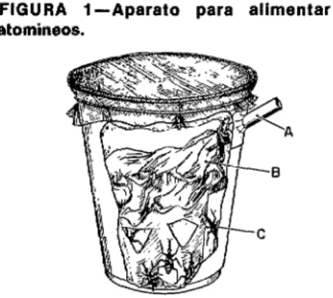 FIGURA  l-Aparato  para  alimentar  los  triatomíneos. 