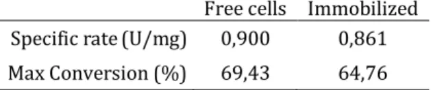 Figure 2: A – Relative activity remaining in free cells stored in presence  of  PLP  (Free  PLP)  and  absence  of  PLP  (Free  CTRL)  and  immobilized  cells stored in presence of PLP (IMM PLP) and in absence of PLP (IMM  CTRL)