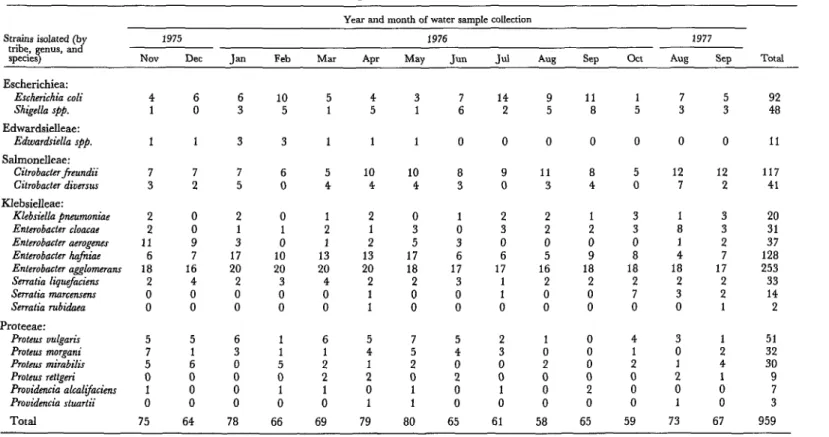 Table  1.  Bacterial  strains  isolated  and  identified  in  water  samples  obtained  in  November  1975-October  1976  and  in  August-September  1977
