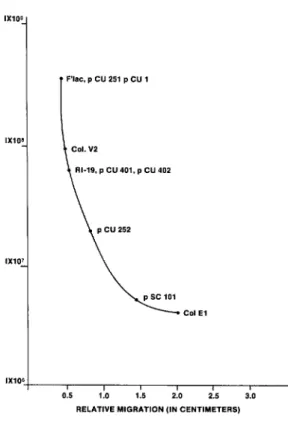 Figure  2.  Relative  electrophoretic  migration  of  plasmids with  different  molecular  weights