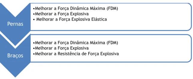 Figura  2.  Factores  determinantes  para  o  desenvolvimento  da  força  de  braços  e  pernas