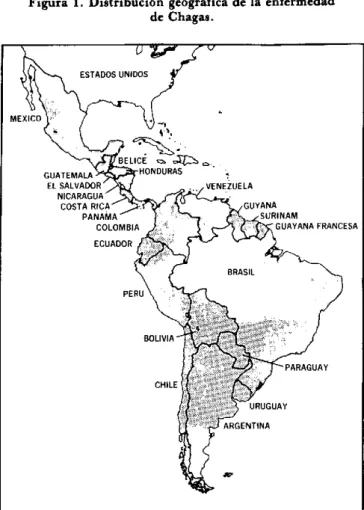 Figura  1.  Distribución  geográfica  de  la enfermedad de  Chagas.