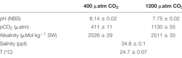 TABLE 1 | Experimental conditions and seawater physicochemical parameters.