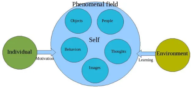 Illustration 1: The Phenomenal field 