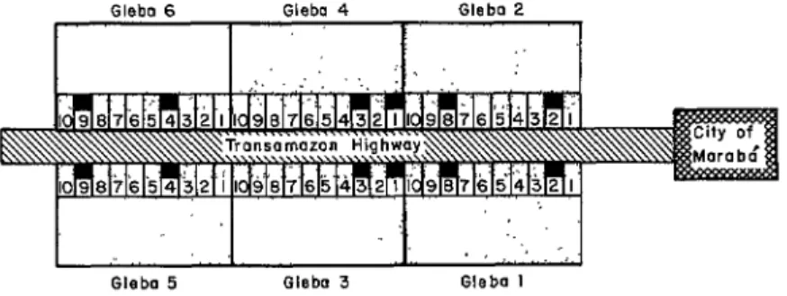 Figure  2.  A  schematic  diagram  of  land  organization  and  sample  selection  along  the  Transamazon  Highway,  using  as an  example  the  first  six 
