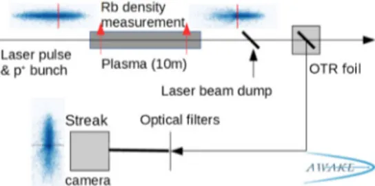 FIG. 1. The protons together with the laser pulse (red marker in the depicted proton bunches) enter the plasma