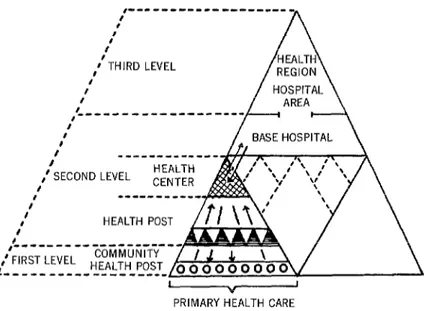 Figure  3.  The  health  services  pyramid  in  the  South  Altiplano  Region,  showing  the  various  levels  (health  center,  health  post,  and  community 