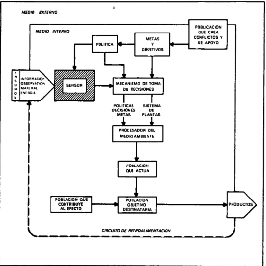 Fig. 2-5. Flujo de información y energía: sensor, mecanismo de toma de decisiones y  procesador del medio, implica un proceso continuo 