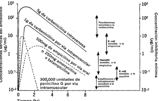 FIGURA  l-Comparación  de  las  actividades  y  concentraciones  séricas  de  penicilinas  de  uso  corriente