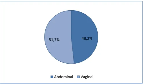 Gráfico 3 - Gráfico representativo da histerectomia efetuada em cada doente. 