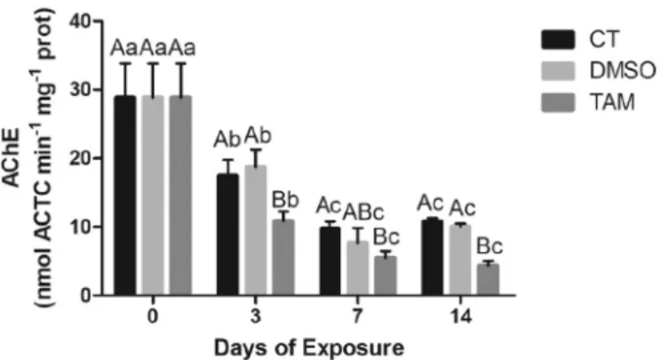 Fig. 9. M. galloprovincialis AChE activity (mean ± STD) (ATC min −1 mg −1 protein) in gills unexposed (CT) and exposed to DMSO and to TAM (100 ng L −1 ), over 14 days