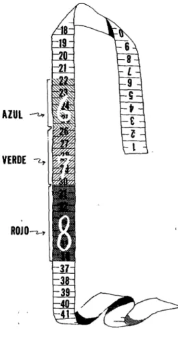 FIGURA  2-Cinta  de  medición  que  muestra  los  valores  de  altura  uterina  apropiados  para  el  co-  mienzo  del  sexto,  séptimo  y  octavo  mes  de  gesta-  ción  en  segmentos  azul,  verde  y  rojo