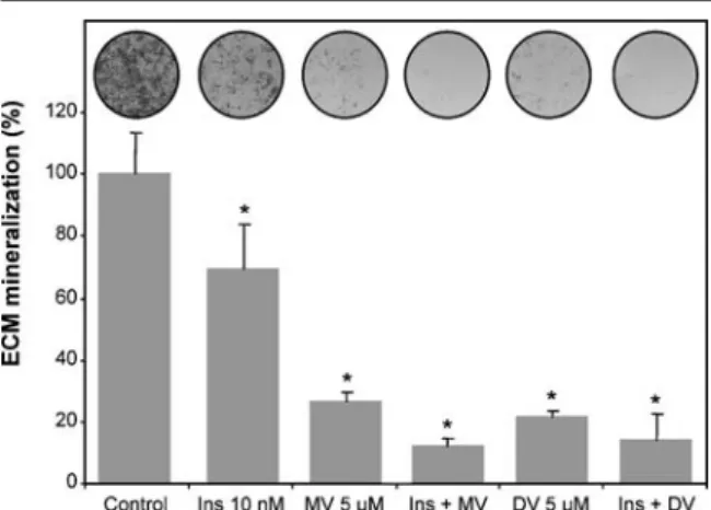 Fig. 5), which was probably caused by an inexistent or a less efficient uptake mechanism for decameric species.
