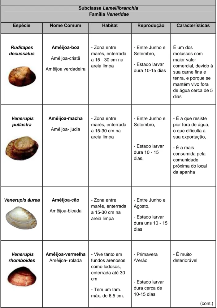 Tabela 1.1. - Bivalves mais consumidos em Portugal (adaptado de Mira, 2003). 