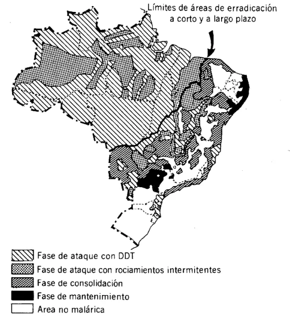 Figura 1.  Areas  y  fases  del  programa de  erradicación  de  la  malaria, Brasil,  1978.