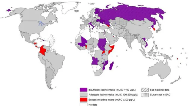Figura 2. Mapa global da nutrição em iodo em 2017. Fonte: Iodine Global Network 31 . 