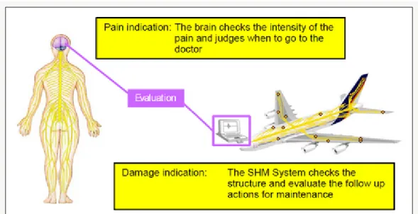 Figure 2.12 – Comparison between a damage indication (Airplane) and pain   indication  (Human Being) [57]