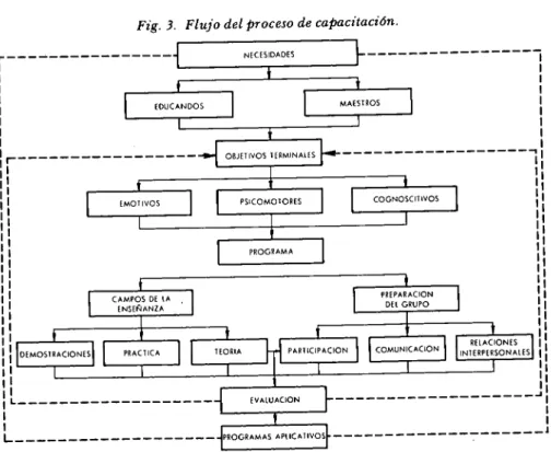 Fig. 3. Flujo del proceso de capacitación. 