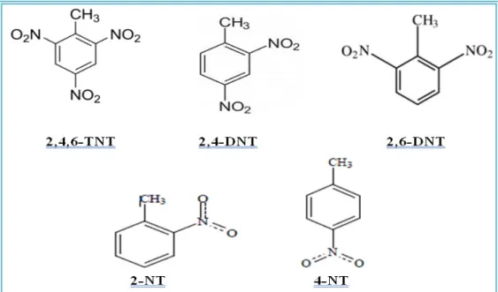 Figura 1: Estrutura molecular dos compostos 2,4,6-DNT; 2,4-DNT; 2,6-DNT; 2-NT e do 4-NT 