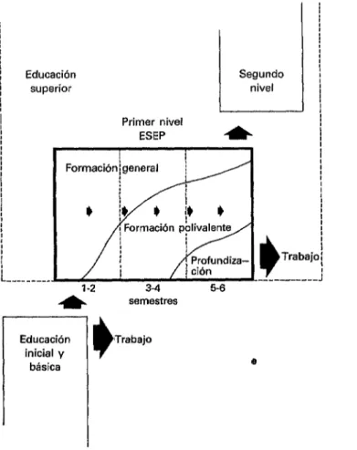 FIGURA  3-Ubicación  y  composición  esquemática  del  primer  nivel  de  educacih  superior