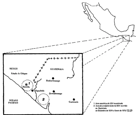 FIGURA  l-Area  muestreada  y  zona  de  Guatemala  donde  ocurrió  un  brote  de  probable  encefa-  litis  equina  venezolana  en  diciembre  de  1974  y  enero  de  1975