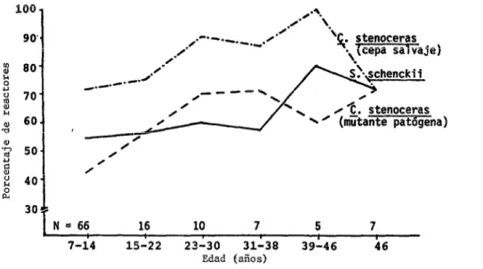 FIGURA 3-Hipersensibilidad  tardía  a antígenos  celulares  de S.  schenckii  y C.  stenoce-  ras