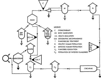 Figure  3.  Vulnerable  points  in  an  energy  flow  diagram  of  the  schistosome  ecosystem