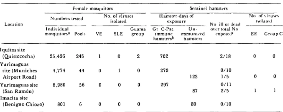 Table  1.  A  listing  of  the  VE,  SLE,  EE,  group  C,  and  Guama  group  arboviruses  isolated  from  mosquitoes  and  adult  sentinel  hamsters  in  Peru’s  Amazon  region 
