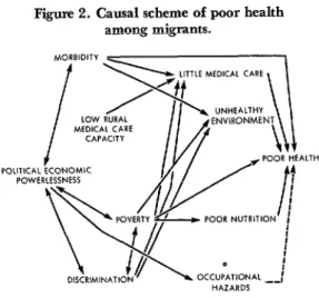 Figure  2.  Causal  scheme  of  poor  health  among  migrants. 