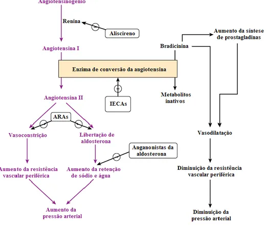 Figura  7.5  –  Locais  de  ação  dos  fármacos  que  interferem  com  o  eixo  renina-angiotensina-aldosterona (adaptado de - Katzung et al., 2009) 