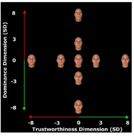 Figure 1.1: Example of a face changing along the Trustworthiness and Dominance Dimensions  (Oosterhof &amp; Todorov, 2008) 