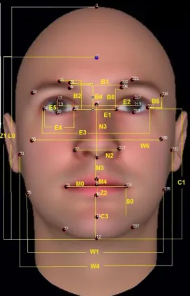 Figure 2.1: Measurement of Facial Metrics through marking of 40 reference points                                                  