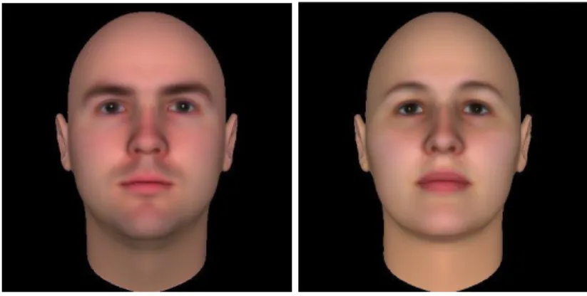 Figure 2.2: Examples for the Stimuli in Study 1 (Database developed by Oosterhof &amp; Todorov,  2008) 