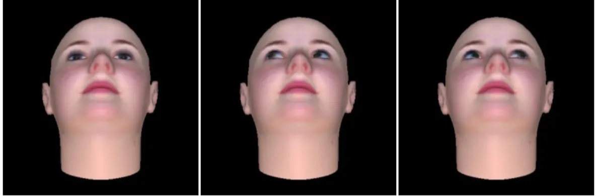 Figure 4.1: Examples of pictures used in all studies: a) male face and b) female face across all  head positions (from below, from the front and from above) and gaze direction (direct and 