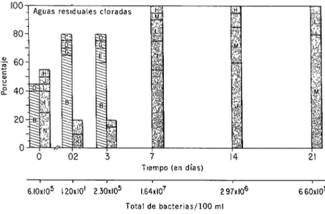 FIGURA  3-Distribución  porcentual  de  géneros  bacterianos  despu&amp;  de  la  cloración
