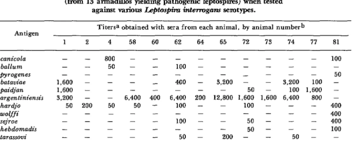 Table  3.  Microscopic-agglutination  titers  obtained  with  Positive  sera  (from  13 armadihos  yielding  pathogenic  Ieptospires)  when  tested 