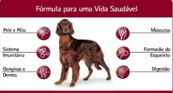 Figura 9 – Benefícios de Purina One para o Segmento Cão 