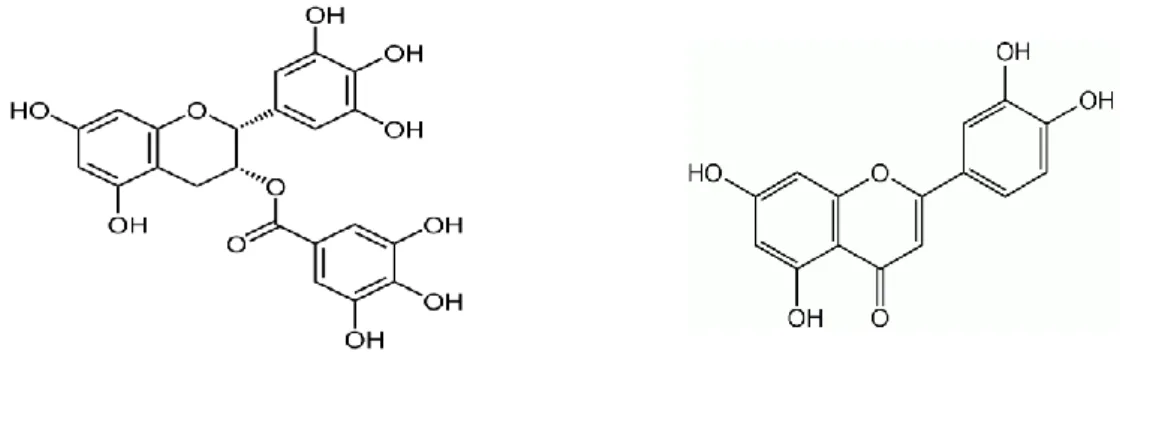 Figura 5 – Flavonoide EGCG  Figura 6 – Flavonoide luteolina 
