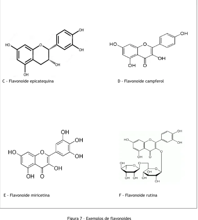 Figura 7 – Exemplos de flavonoides 