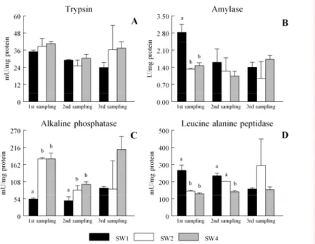 Fig. 3.3 - Specific activity of trypsin (A), amylase (B), alkaline phosphatase (C) and  leucine-alanine peptidase (D) in whole sole postlarvae at three sampling points (33, 40,  47 DAH) during Experiment 2:sudden weaned at 26 DAH (SW1), 33 DAH (SW2) and 40