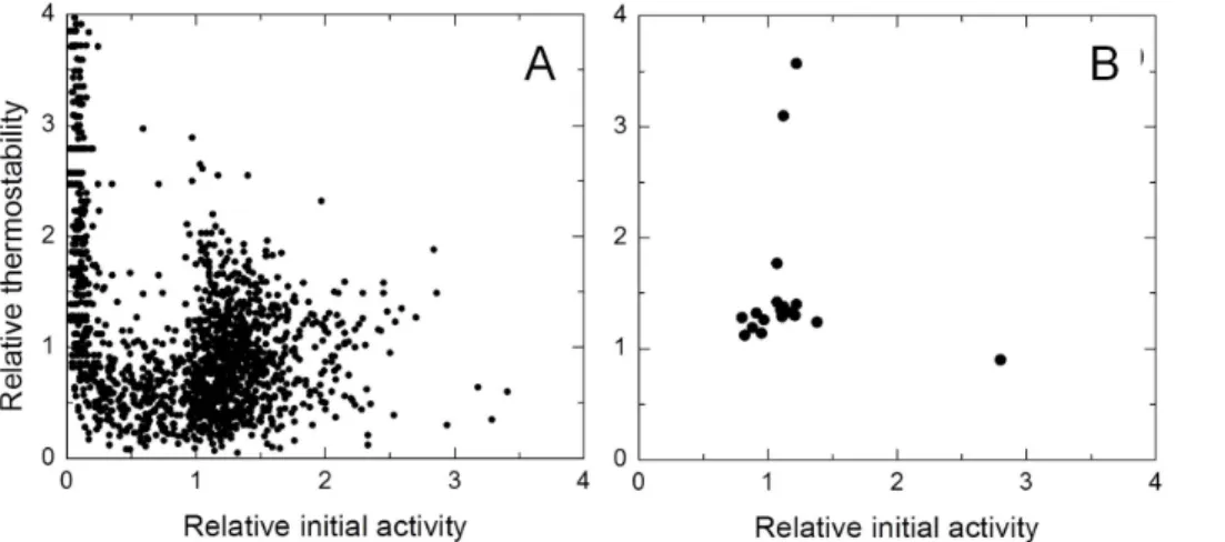 Table 1. Summary of library screening conditions, amino acid substitutions accumulated in PpAzoR variants and initial activity and thermostability relative to their parents.