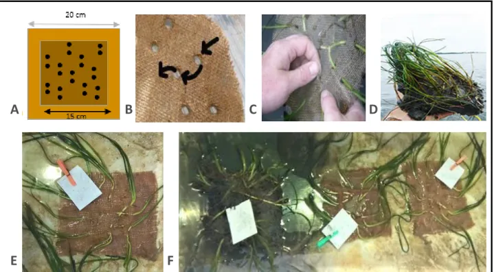 Figure 2.4.1: Methods for the creation of artificial-substrate based planting units 
