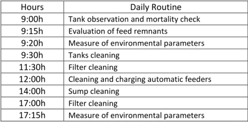Table 4 – Daily routines made during the experiment. 