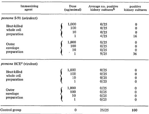Table  2.  Summary  of  immunization  trials  with  Leptospiro  serotype  pornon~.~ 
