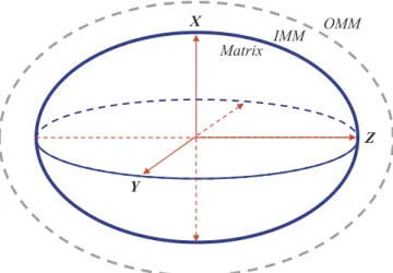 Fig. 1. Schematic representation of a mitochondrion approximated by an el- el-lipsoid for the model analysis of mitochondrial swelling.