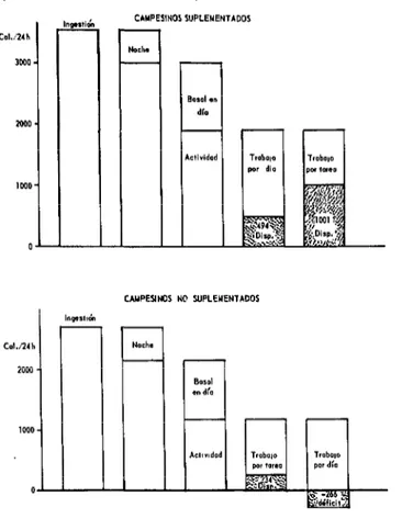 FIGURA  1-Balance  calórico  de  dos  grupos  de  campesinos  (con 