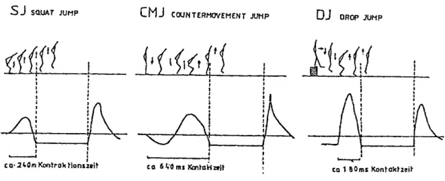 Figura 10 - Representação gráfica das três formas de impulsão (Schmidtbleicher, 1996) 