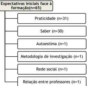 Figura 9 - Representação gráfica das expectativas iniciais