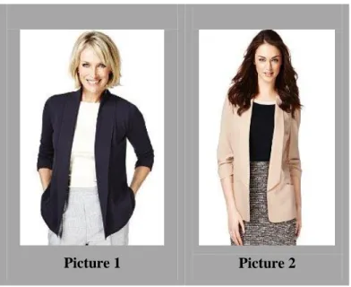 Figure 5.5 – Questionnaire pictures 1 and 2 