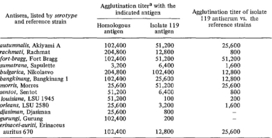 TABLE  I-Results  of  cross-agglutination  tests  with  the  Leptospira  isolate  from  rat  No